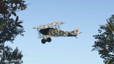 i007 WGL 006