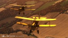 i008 WGL 005